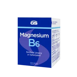 GS Magnesium s vitaminem B6, 100 tablet