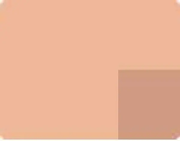 Akrylová barva Lefranc 200ml – 410 Pink Ochre