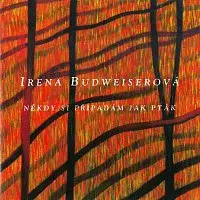 Irena Budweiserová – Někdy si připadám jak pták CD