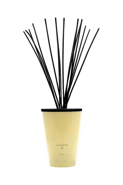 Aroma difuzér Cereria Molla Black Orchid and Lilly 3 L více barev