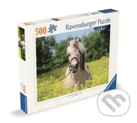Plavý kůň - puzzle z kategorie Zvířata
