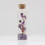 Glass Wishing Bottle Decorations