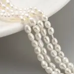 Natural Cultured Freshwater Pearl Beads Strands
