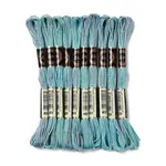 10 Skeins 6-Ply Polyester Embroidery Floss