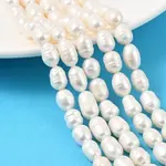 Natural Cultured Freshwater Pearl Beads Strands