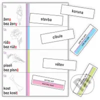 Vzory podstatných jmen - kartičky k procvičování třídění slov podle vzorů podstatných jmen