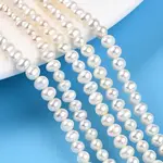 Natural Cultured Freshwater Pearl Beads Strands