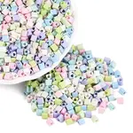 FGB Baking Paint Glass Seed Beads