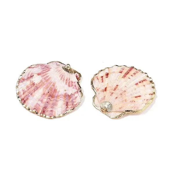 Natural Scallop Shell Big Pendants