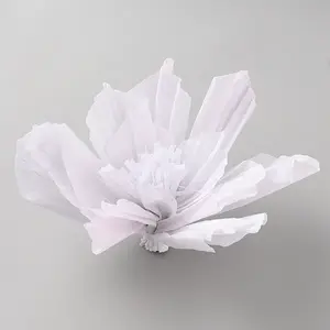 Crepe Paper Flowers Decoration for Wall