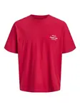 Jack & Jones Junior Tričko 'JORNorberto'  červená / biela