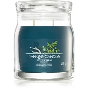 Yankee Candle Bayside Cedar vonná svíčka 368 g