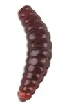 Saenger iron trout gumové nástrahy bee maggots 2,5 cm-farba br