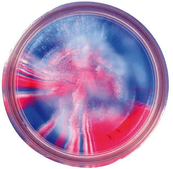 Berkley cesto na pstruhy natural glitter troutbait cesnak - trblietavá captain america