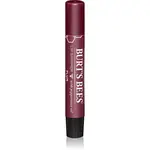 Burt’s Bees Lip Shimmer lesk na rty odstín Plum 2.6 g