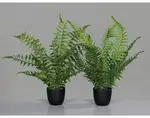 Umelá rastlina v kvetináči Kapradina, 36 cm (2 druhy)%
