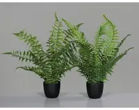 Umelá rastlina v kvetináči Kapradina, 36 cm (2 druhy)%