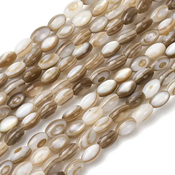 Natural Freshwater Shell Beads Strands