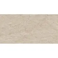 Gres Fillite Outdor Beige 30/60