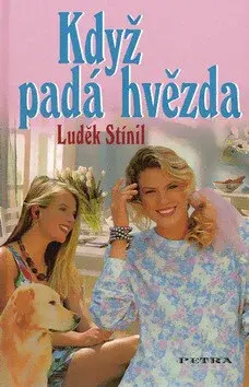 Když padá hvězda (poškozená) - Luděk Stínil