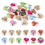 24Pcs 12 Style Glass Cabochon