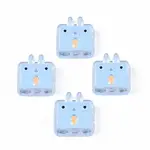 Transparent Acrylic Beads