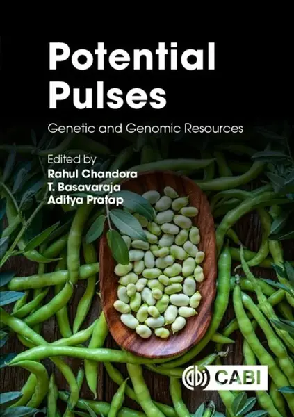 Potential Pulses