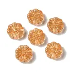 Transparent Lampwork Beads