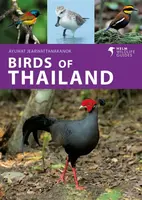 Birds of Thailand - Ayuwat Jearwattanakanok