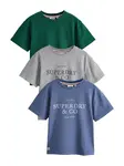 Superdry & Co Tričko  modrá / sivá / tmavozelená