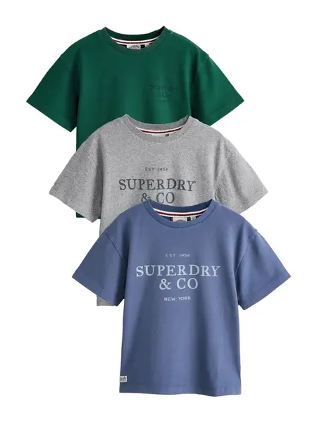 Superdry & Co Tričko  modrá / sivá / tmavozelená
