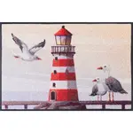 wash+dry DVEŘNÍ ROHOŽKA, 50/75 cm, béžová