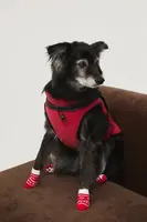 Bunda pre zvieratko Medicine