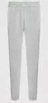 REEBOK - CL RBK ND FLEECE PANT HH9719