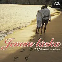 Různí interpreti – Jenom láska CD