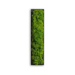 StyleGREEN MECHOVÝ OBRAZ