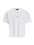 JACK & JONES Tričko 'JCOBIARRITZ'  pastelovo modrá / čierna / biela