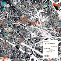 Marie Puttnerová – Zelená oblaka, růžové stromy