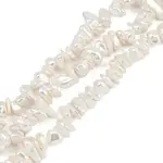 Electroplated Shell Pearl Beads Strands