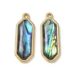 Natural Paua Shell Pendants