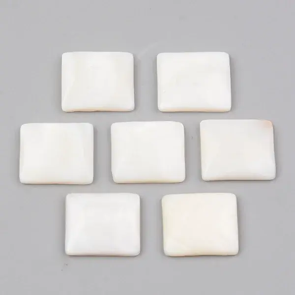 Natural Freshwater Shell Cabochons