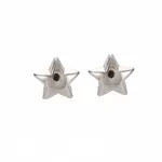 Star Stud Earrings for Women