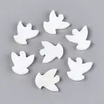 Natural Freshwater Shell Beads