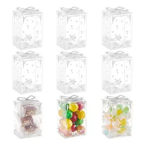 Foldable Transparent PVC Storage Boxes