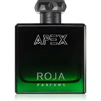 Roja Parfums Apex parfémovaná voda pro muže 100 ml
