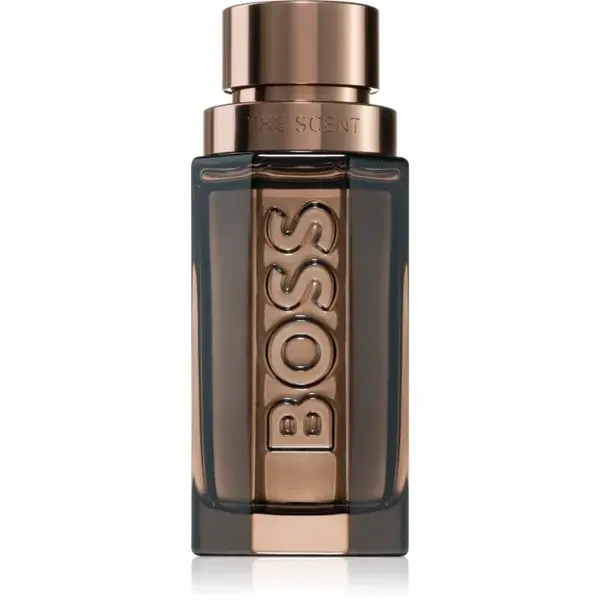 Hugo Boss BOSS The Scent Le Parfum parfém pro muže 50 ml