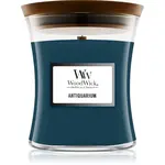 Woodwick Antiquarium vonná svíčka 275 g