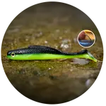 Redbass gumová nástraha ripper kicker black/signal yellow uv color - l 100 mm