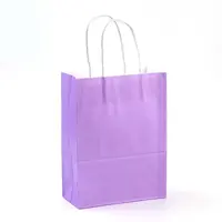 Pure Color Kraft Paper Bags