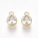 Brass Cubic Zirconia Charms